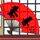 回到顶部
